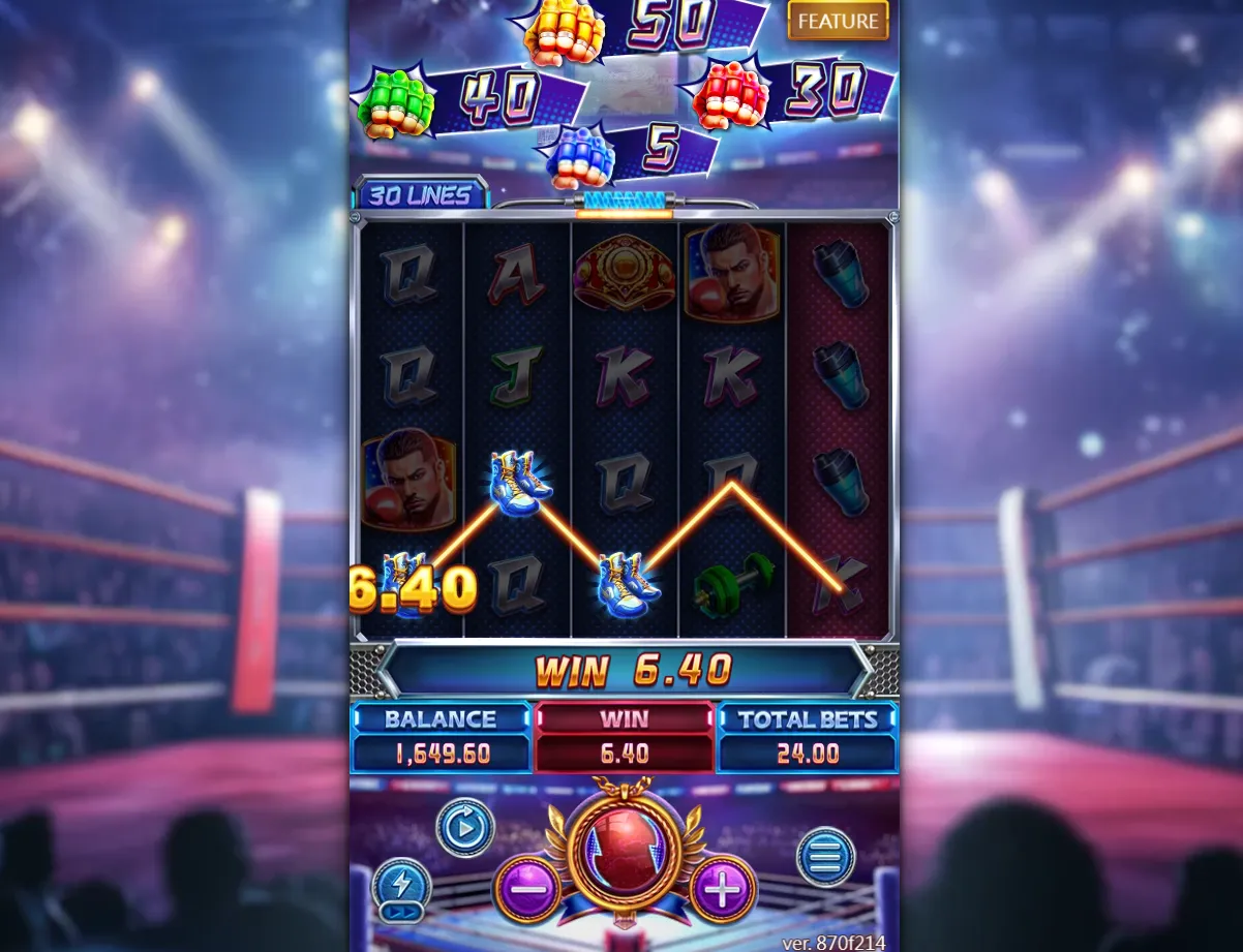 Boxing Riches
